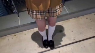 RVG-204 優等生調教 卑猥な校内妊娠合宿BEST VOL.1