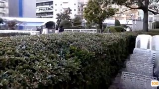 少年江湖物语前戏老婆给单男足交
